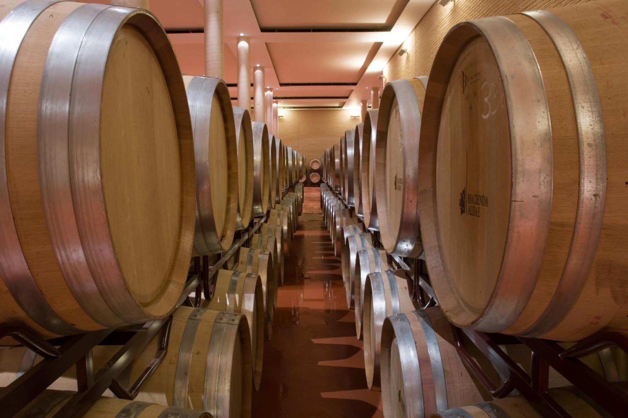 Bodegas Hacienda Albae ξενώνας Argamasilla de Alba Εξωτερικό φωτογραφία